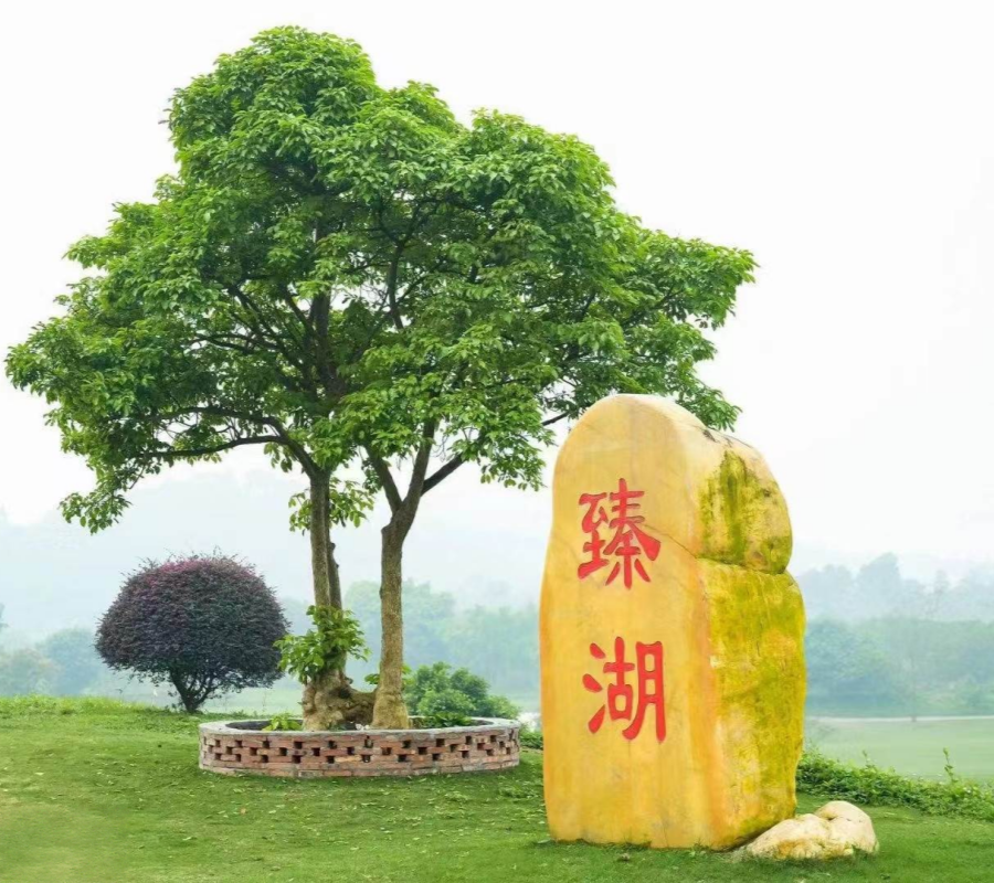 四会臻湖 2球1晚