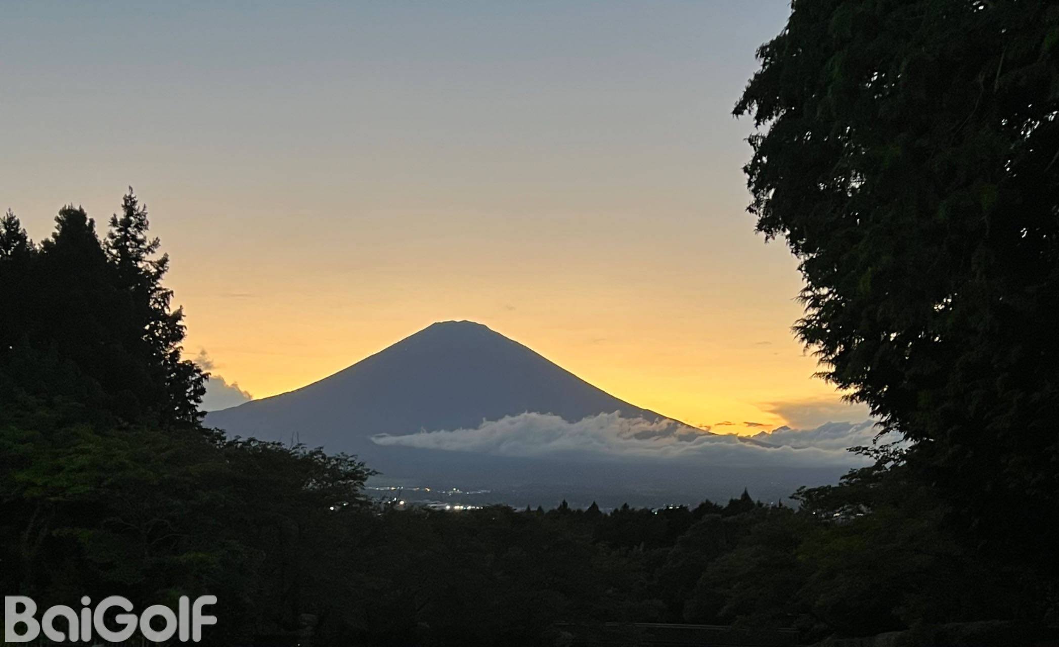 萬衆期待！日本櫻花終于開了～全網最全日本打球注意事項